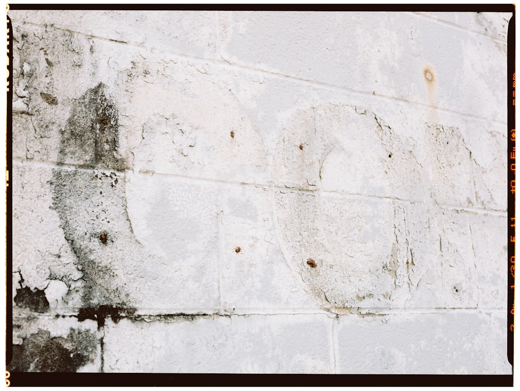 Flood Cleanup service in Escondido, CA