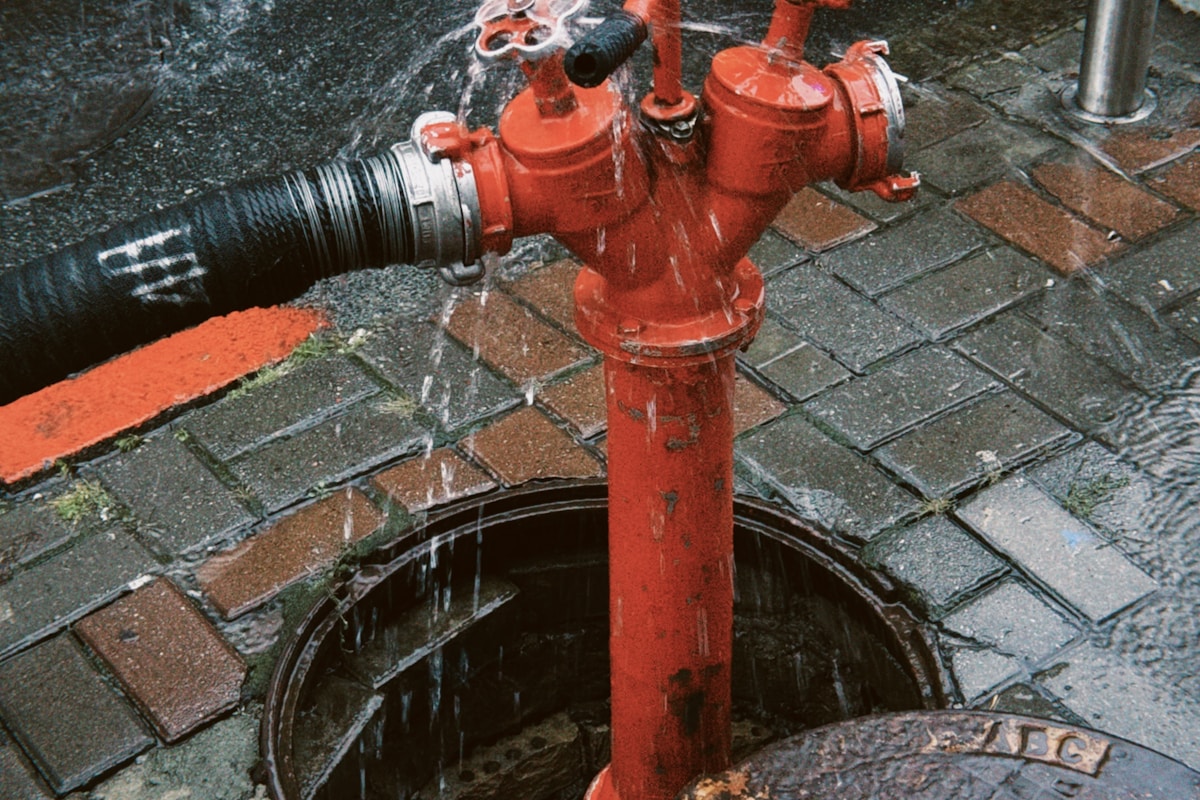 Mold Remediation service in Escondido, CA